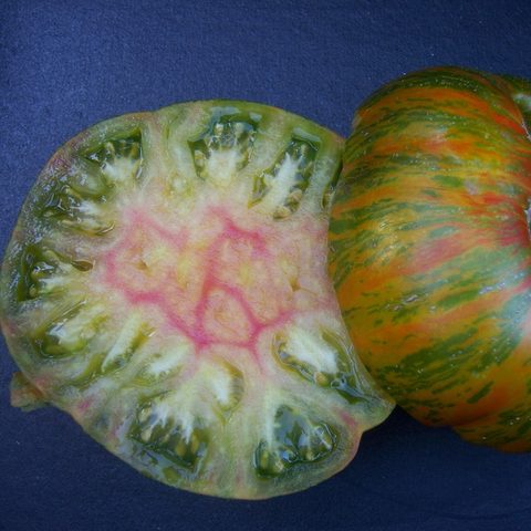 Berkeley Tie-Dye