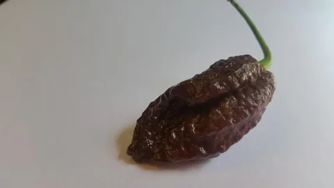 Chocolate Bhutlah CS